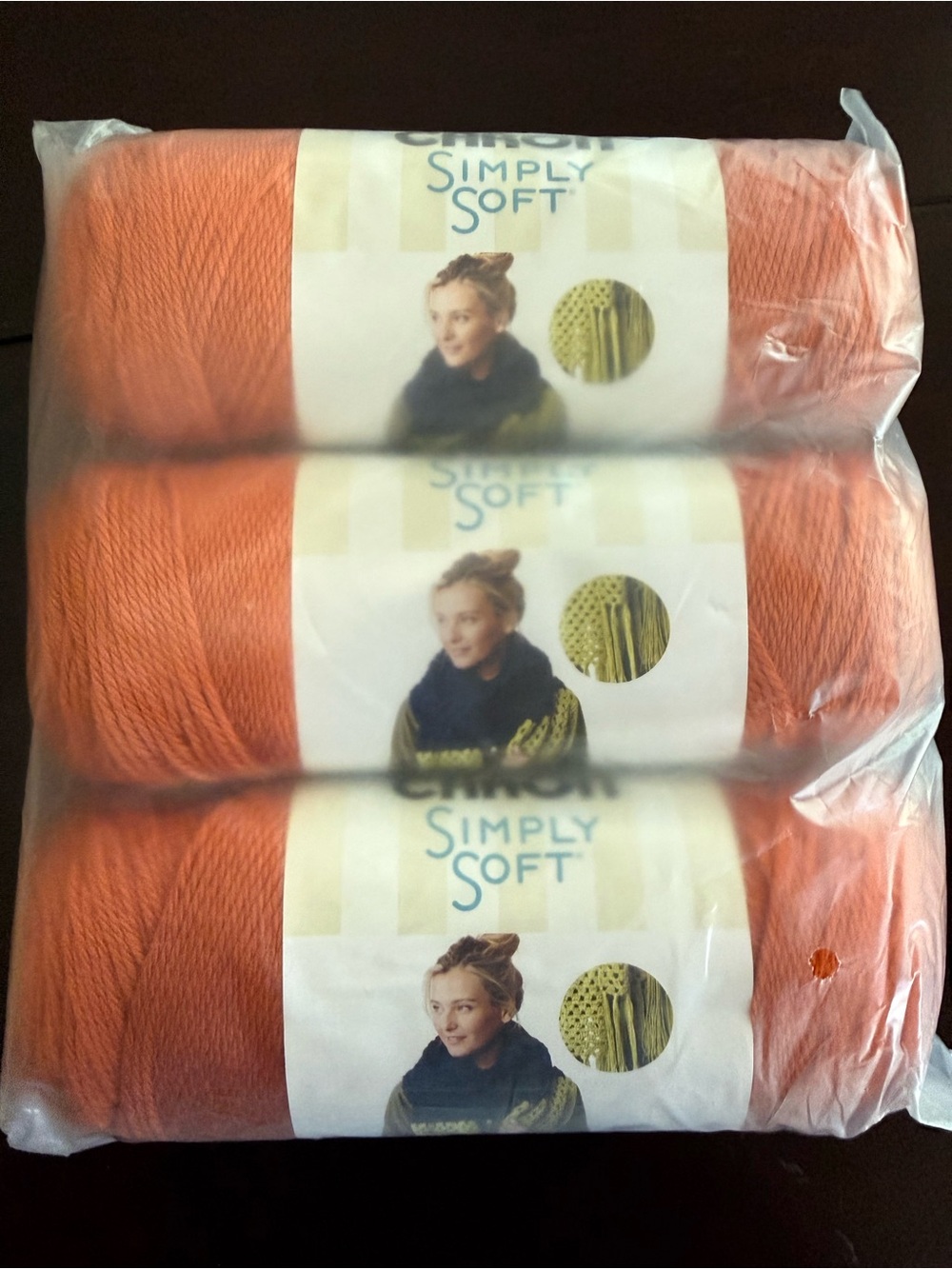 Caron Simply Soft Acrylic Yarn - Pumpkin Orange (3 Skeins)